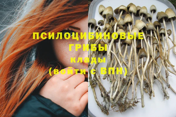 экстази Алексин