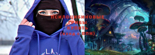 бошки Алзамай